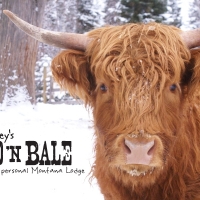 Bailey's Bed 'n Bale in Western Montana