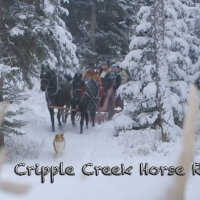 Cripple Creek Horse Ranch in Western Montana